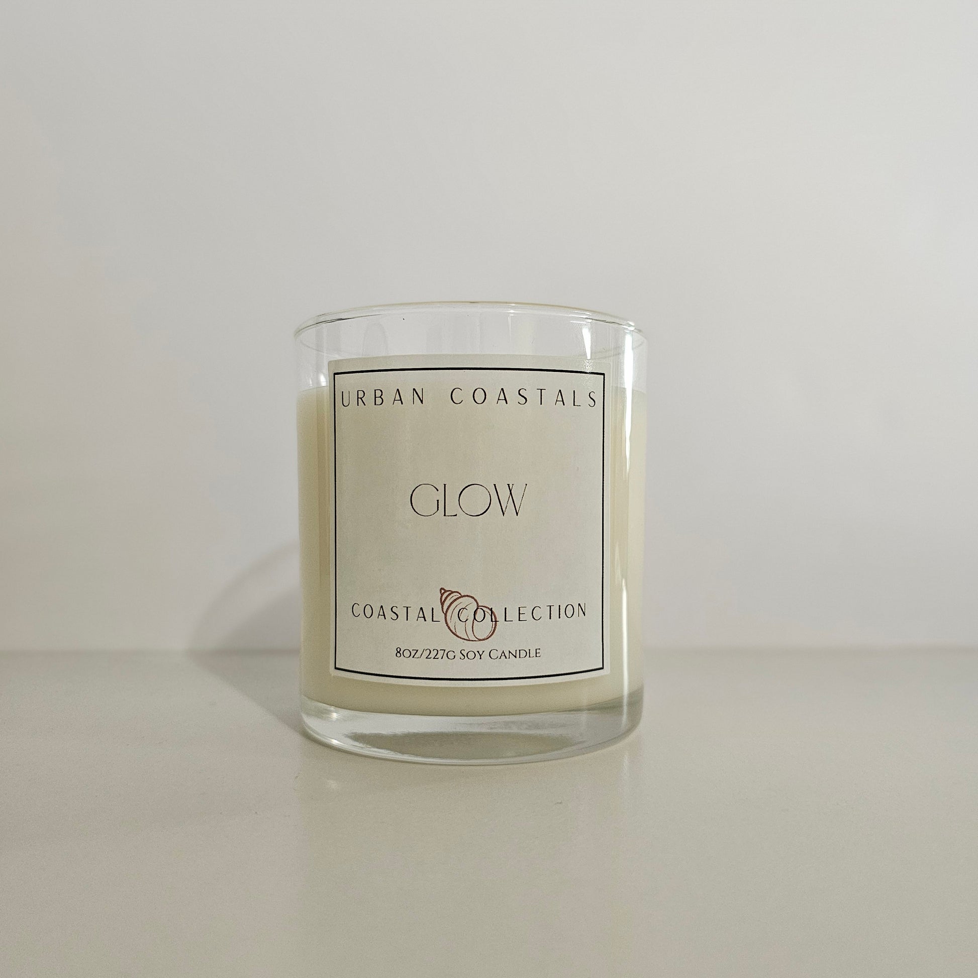 Mango and coconut milk 8oz scented candle