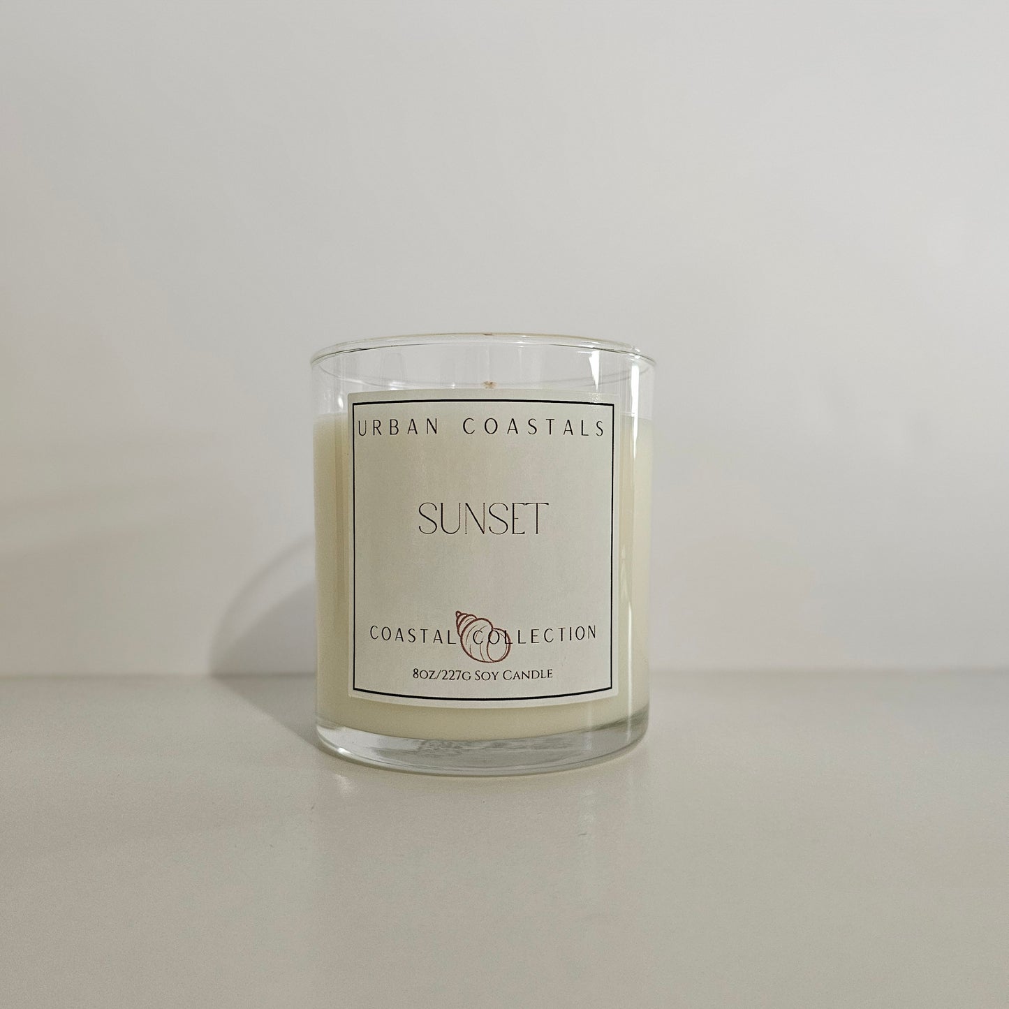 Pineapple and coconut 8oz scented candle