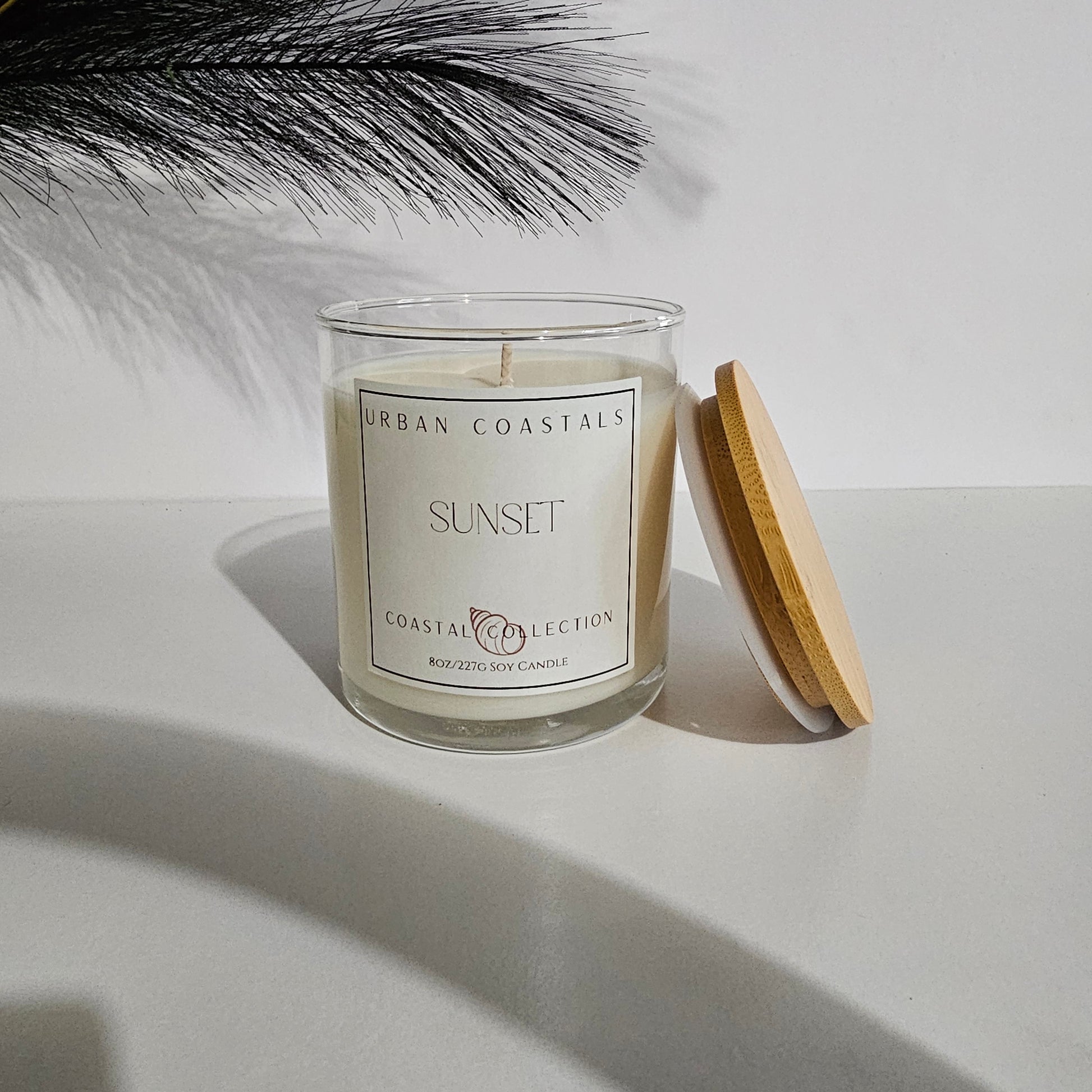 Pineapple and coconut 8oz scented candle