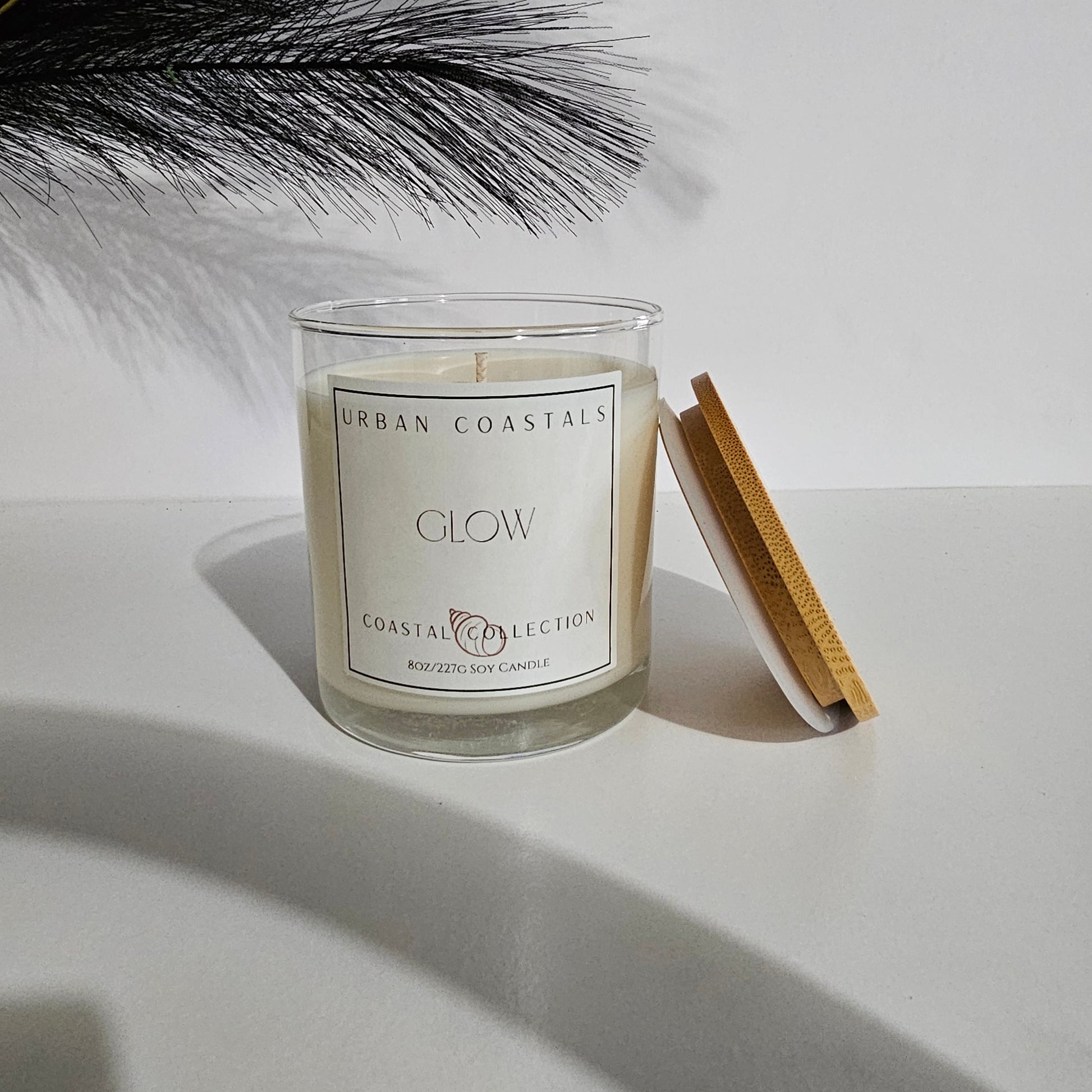 Mango and coconut milk 8oz scented candle