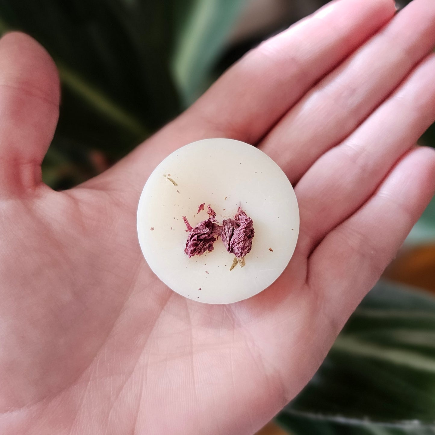 Wax Melt Bundle