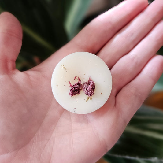 Wax Melt Bundle