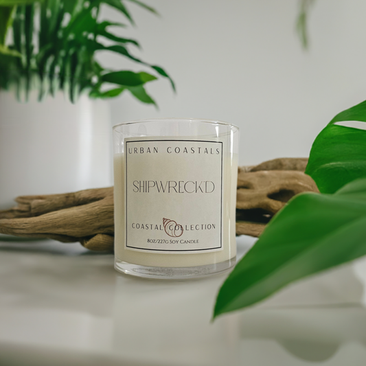 black coral and moss and sandalwood 8oz scented candle