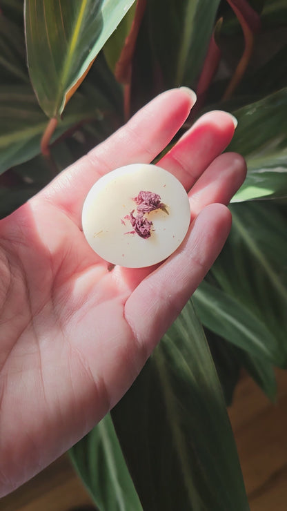 Wax Melt Bundle